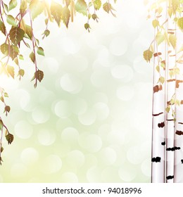 bright summer background with birch branches, copyspace for your text
