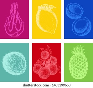 Bright summer cards. Exotic tropical fruit sketches. Vibrant scheme. Vivid design with lively colors. Vacation season banner. Story wallpaper. Hand drawn style. Litchi and coconut. Dragon fruit, etc.