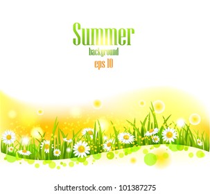 Bright summer flowers  background with space for text.