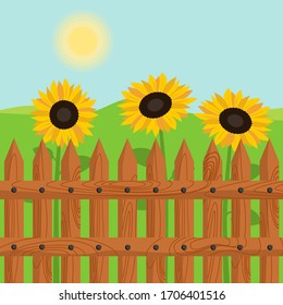 Helle Sommerlandschaft mit drei gelben Sonnenblumen hinter einem Holzzaun unter einem blauen Himmel. Vektorillustration.