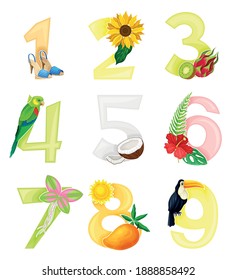 Bright Summer Numbers with Sunny Season Attributes Vector Set