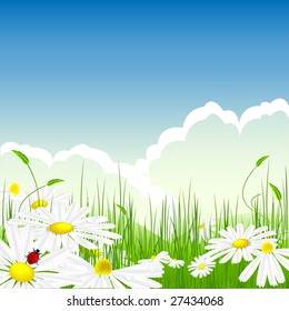 bright summer scene in the meadow with chamomiles and water drops