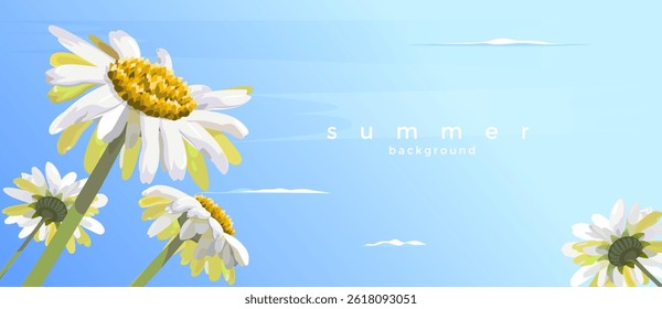 Bright summer vector background with white daisy flowers against a clear blue sky. Perfect for greeting cards, banners, posters, and seasonal advertising projects.