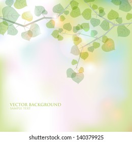 Bright sun vector illustration of branches with leaves