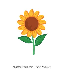 bright sunflower design over white