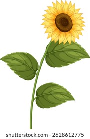 Bright sunflower with detailed petals and lush green leaves. Clean vector style with vibrant colors and clear composition