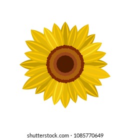 Bright sunflower icon. Flat illustration of bright sunflower vector icon for web