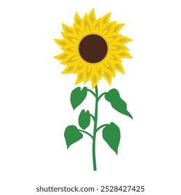 Bright Sunflower Illustration with Green Leaves and Stem. Vibrant sunflower illustration. Summer, nature, or botanical themes, bringing warmth and positivity.