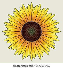 Bright Sunflower Realistic Symmetric Mandala