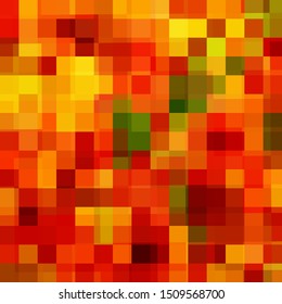 bright sunny colored colors of autumn