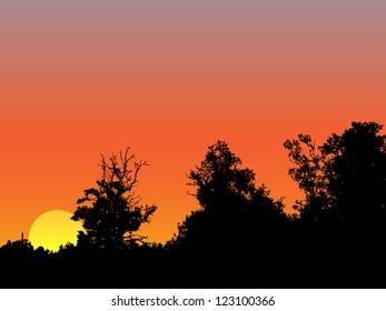 Bright sunrise vector background