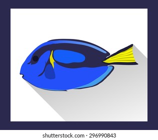 Bright surgeonfish in flat style - vector illustration
