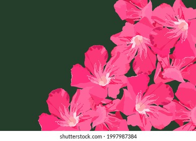 Bright and sweet oleander flowers background, colorful summer exotic feeling, flat style background template background design