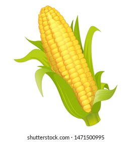 bright tasty corn on a white background