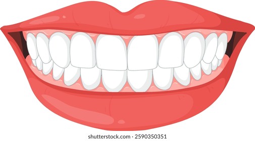 Bright teeth and lips in a cheerful expression