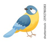 Bright Titmouse, Blue bird with yellow breast. Flat cartoon character design. Bird icon, cute titmouse template. Vector illustration isolated on white background.