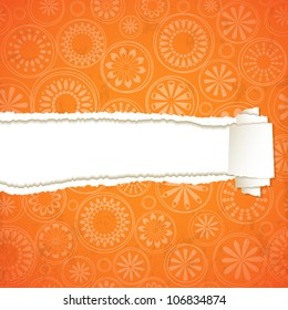 Bright torn paper with a floral pattern.  Vector background. Eps10.
