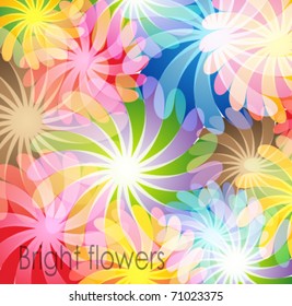Bright transparent flowers. Abstract background.