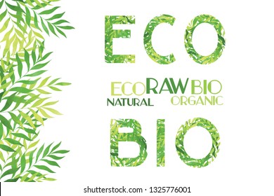Bright tropic border, green lettering, universal elements for your design