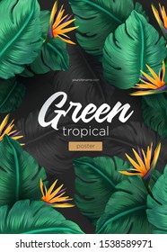 Bright tropical background with jungle plants. Exotic pattern with tropical leaves