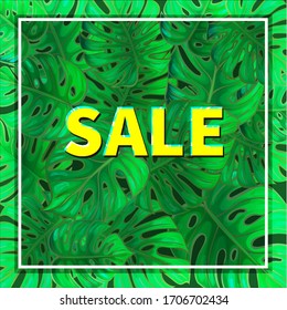 Bright tropical background with jungle plants, with leaf monsters, palm leaves. Vector exotic pattern with palm leaves. Tropical palm leaves, jungle.