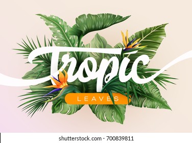 Bright tropical background with jungle plants. Exotic pattern with tropical leaves. Vector illustration