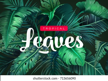 Bright tropical background with jungle plants. Exotic pattern with tropical leaves. Vector illustration