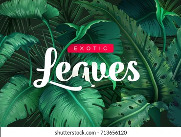 Bright tropical background with jungle plants. Exotic pattern with tropical leaves. Vector illustration