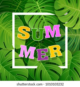 Bright tropical background with monstera leaves  plants. Exotic pattern with tropical green leaves. Vector illustration.