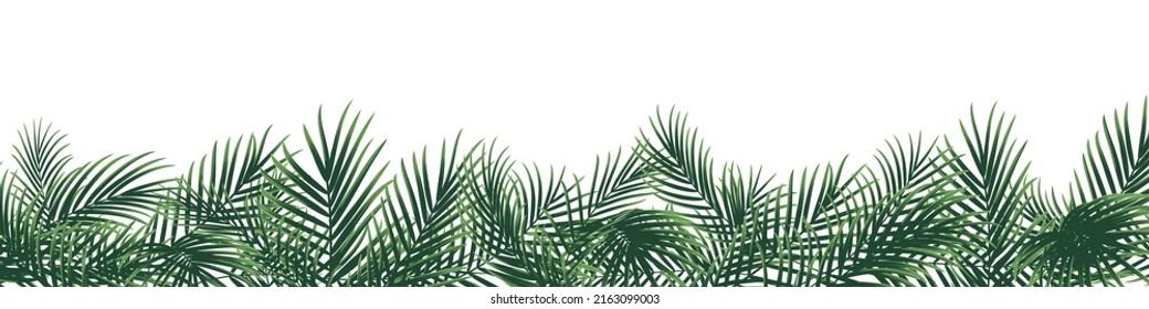 Heller tropischer Hintergrund mit Palmenblatt. Dschungelpflanzenvektor 