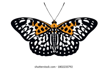 bright tropical butterfly neurosigma siva, panther
