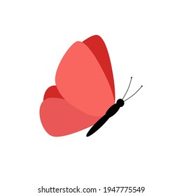 Bright tropical butterfly on a white background. Vector illustration in flat cartoon style.
