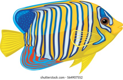 Bright tropical fish isolated on white background. Vector