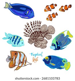 Heller tropischer Fisch. Vektorisolierte Elemente für Design auf Weiß. Perfekt für Menüdekoration, Einladung, Karte, Poster und als Gestaltungselement.