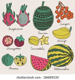 Bright tropical fruit set in vector. Dragon fruit, durian, longan, mangosteen, carambola, mango, annona and watermelon. Cute cartoon vector card in vintage style