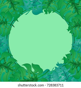 Bright  tropical leaves on a green background.Monstera.Round frame Summer vector illustration with exotic plants.