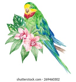 Bright tropical parrot and pink orchids.Watercolor, hand painted, vector illustration