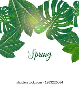 Patrón tropical brillante con hojas verdes de plumeria y monstera. Marco floral de verano, invitación, volante.