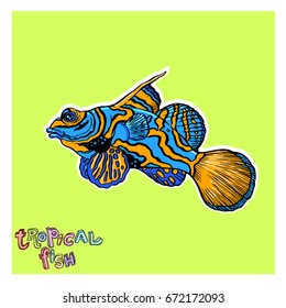 Bright tropical sea fish - vector hand drawing isolated linear illustration in sketch style