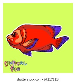 Bright tropical sea fish - vector hand drawing isolated linear illustration in sketch style