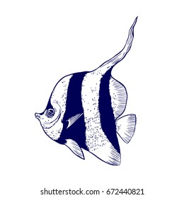 Bright tropical sea fish - vector hand drawing isolated linear illustration in sketch style