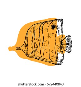 Bright tropical sea fish - vector hand drawing isolated linear illustration in sketch style