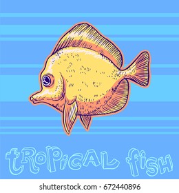 Bright tropical sea fish - vector hand drawing isolated linear illustration in sketch style