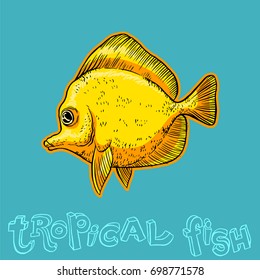 Bright tropical sea fish - vector hand drawing isolated linear illustration in sketch style
