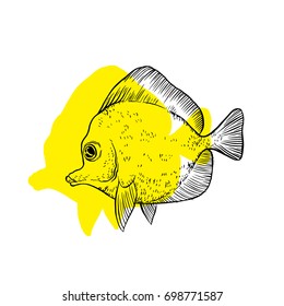 Bright tropical sea fish - vector hand drawing isolated linear illustration in sketch style