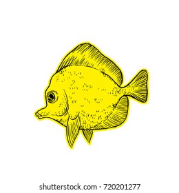 Bright tropical sea fish - vector hand drawing isolated linear illustration in sketch style