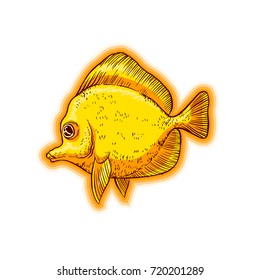 Bright tropical sea fish - vector hand drawing isolated linear illustration in sketch style