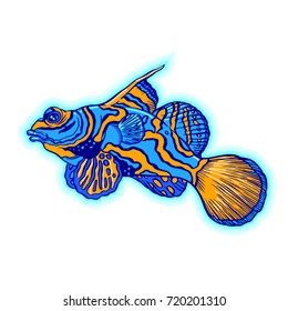 Bright tropical sea fish - vector hand drawing isolated linear illustration in sketch style