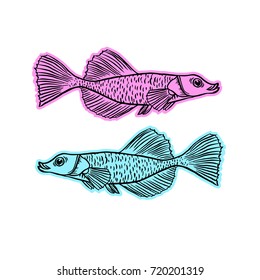 Bright tropical sea fish - vector hand drawing isolated linear illustration in sketch style
