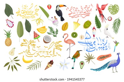 A bright tropical set with exotic birds and fruits. Summer banner with inscriptions and lettering. Hello summer.Summer sale.Illustrations for summer stickers. Tropical party. 